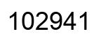Number 102941 black image