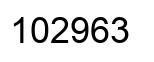 Número 102963 imagen negro