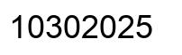 Number 10302025 black image