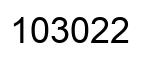 Número 103022 imagen negro
