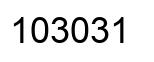 Número 103031 imagen negro