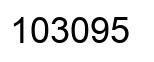 Número 103095 imagen negro