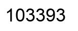 Number 103393 black image