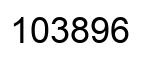 Número 103896 imagen negro