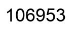 Número 106953 imagen negro