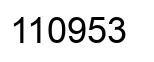 Number 110953 black image