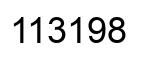 Number 113198 black image