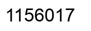 Number 1156017 black image