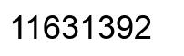 Number 11631392 black image