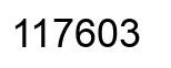 Número 117603 imagen negro
