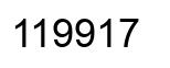 Número 119917 imagen negro