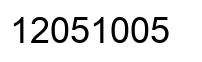 Number 12051005 black image