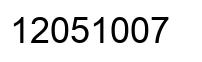 Number 12051007 black image