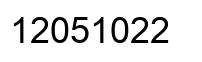 Número 12051022 imagen negro
