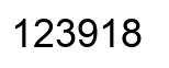 Number 123918 black image