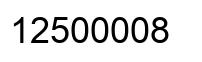 Number 12500008 black image