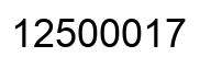 Número 12500017 imagen negro