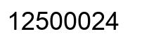Number 12500024 black image