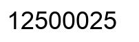Number 12500025 black image