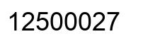 Number 12500027 black image