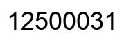 Número 12500031 imagen negro