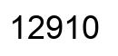 Número 12910 imagen negro