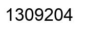 Number 1309204 black image