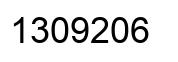 Number 1309206 black image