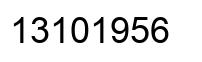 Number 13101956 black image