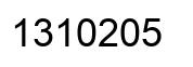 Number 1310205 black image