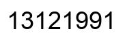 Número 13121991 imagen negro