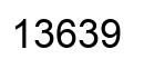 Número 13639 imagen negro
