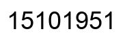 Number 15101951 black image