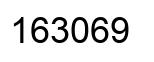 Number 163069 black image