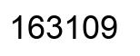 Number 163109 black image