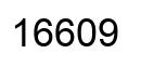 Number 16609 black image