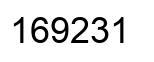 Number 169231 black image
