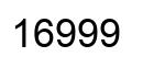 Número 16999 imagen negro