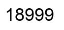 Número 18999 imagen negro