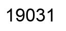 Number 19031 black image