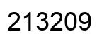 Number 213209 black image