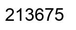 Number 213675 black image