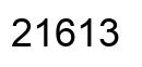 Number 21613 black image