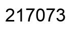 Number 217073 black image