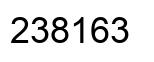 Number 238163 black image