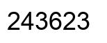 Number 243623 black image