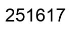 Number 251617 black image