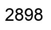 Number 2898 black image