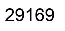 Number 29169 black image