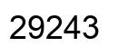 Número 29243 imagen negro
